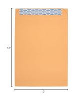 Mead Press-It Seal-It Envelopes, 10 x 13 Inches, Office Pack 20 Count (76088)